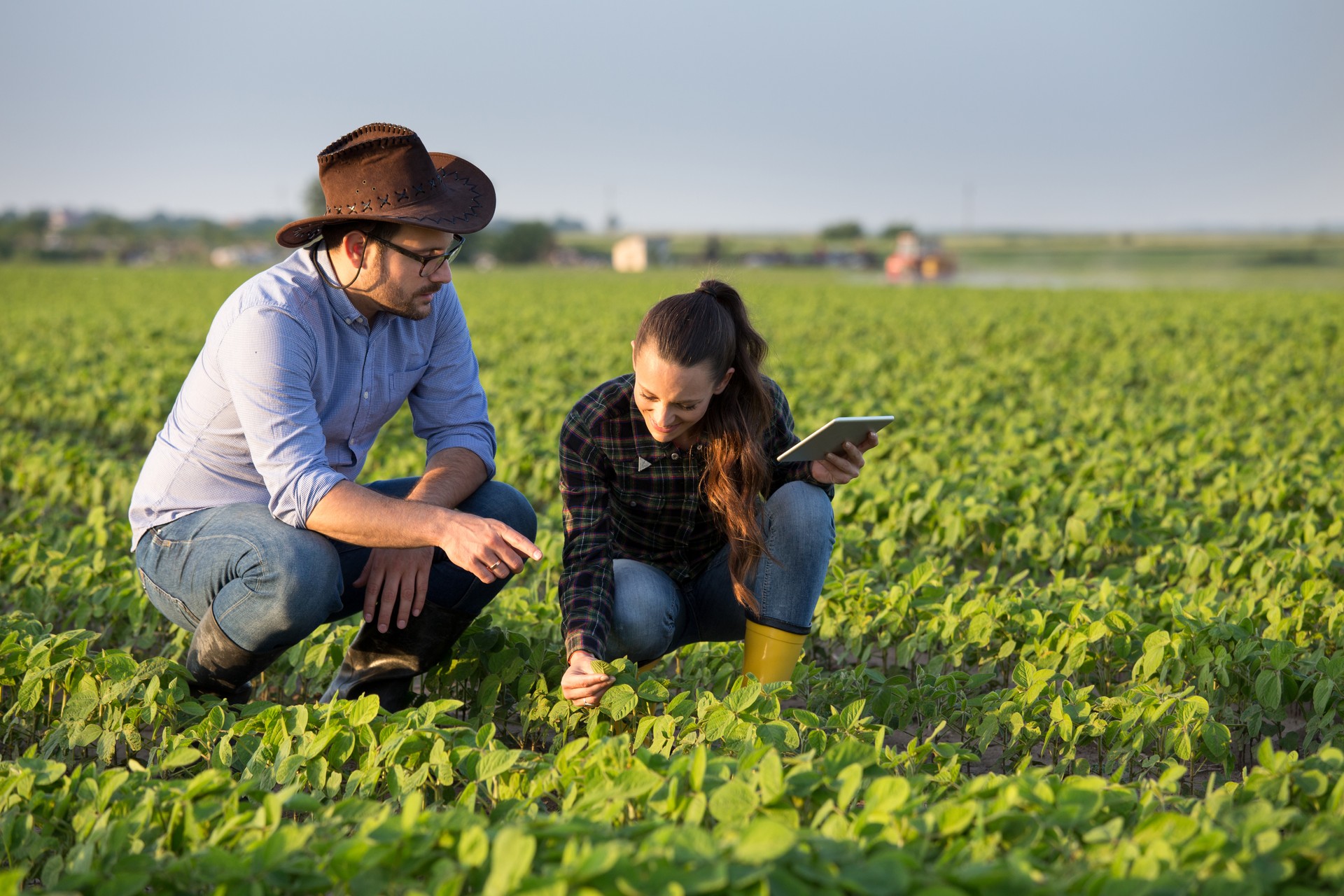 Two farmers squatting in field