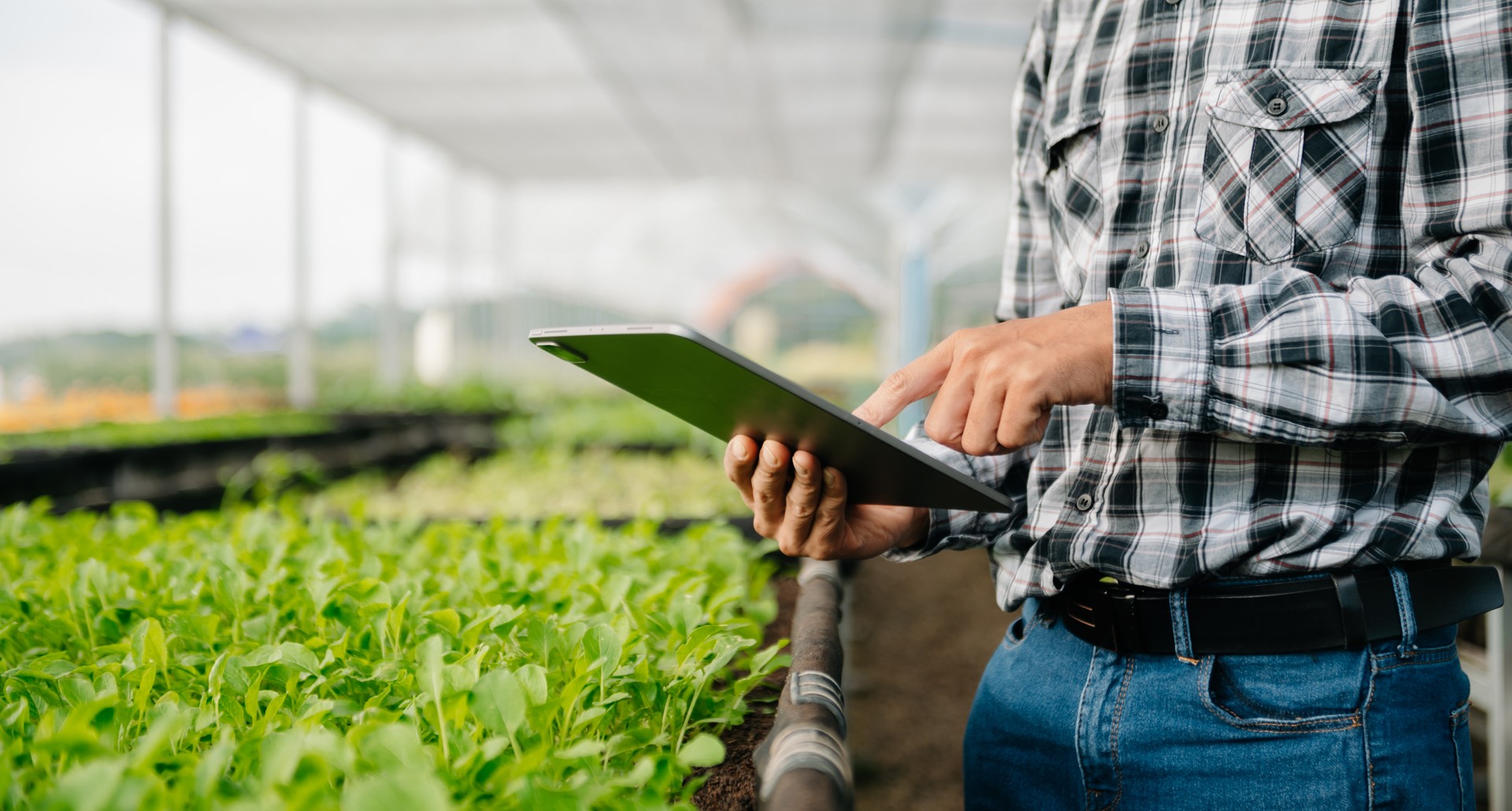 Agriculture technology farmer woman holding tablet or tablet technology to research about agriculture problems analysis data and visual icon.Smart farming